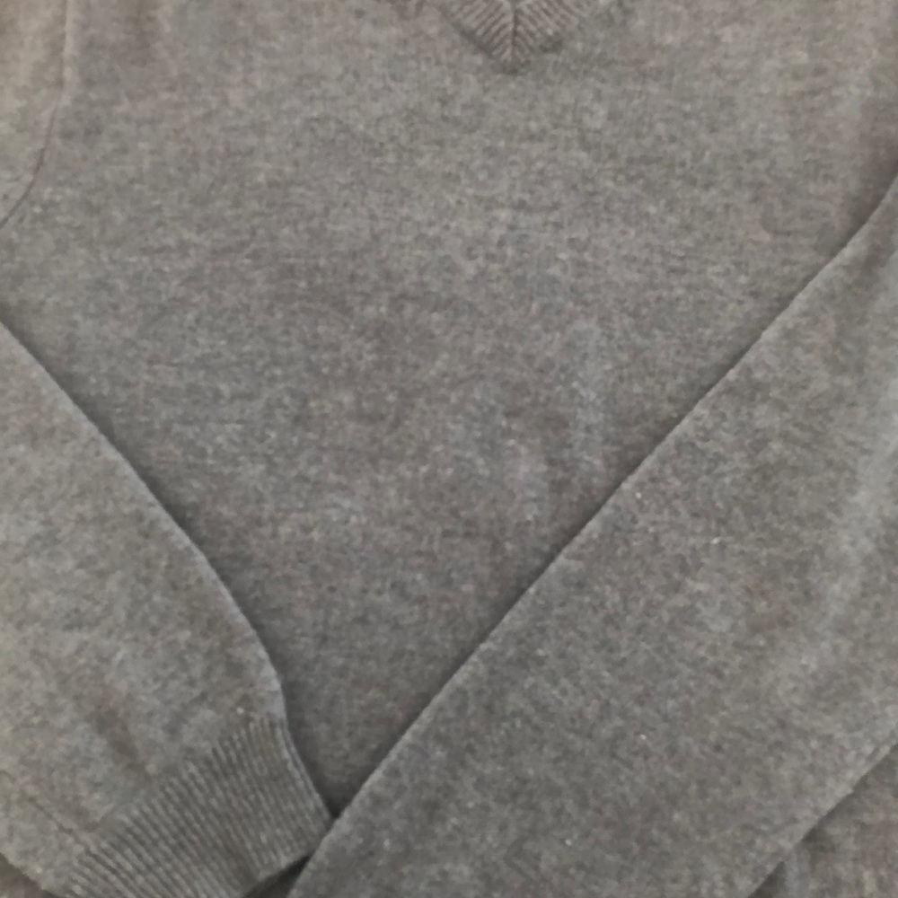 JCrew Vneck 100% wool sweater light blue men L